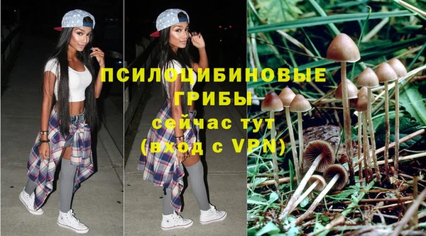 экстази Белокуриха