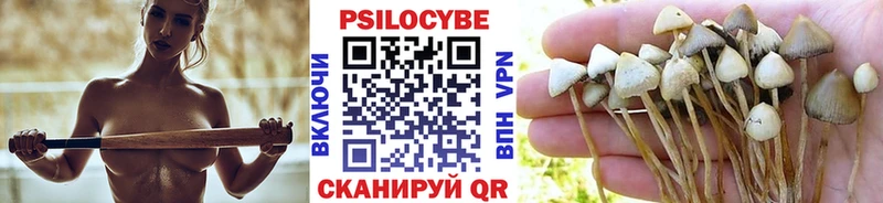 Псилоцибиновые грибы Cubensis  продажа наркотиков  Козьмодемьянск 
